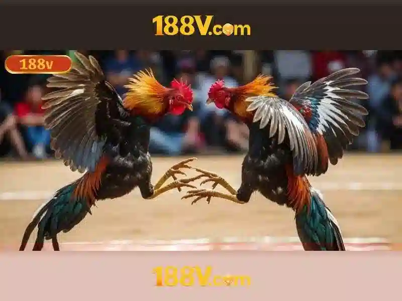 Ưu Điểm Của 188V