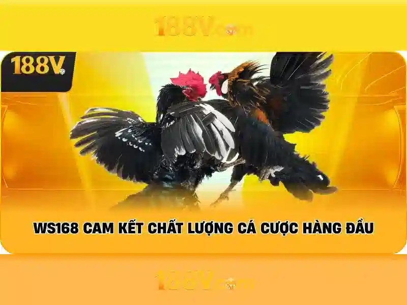 Quy Trình Rút Thưởng 188V