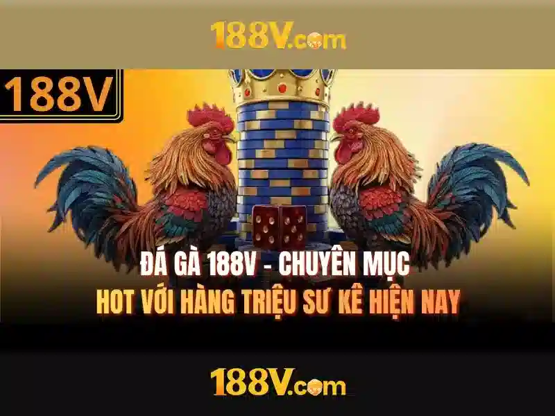 trải nghiệm