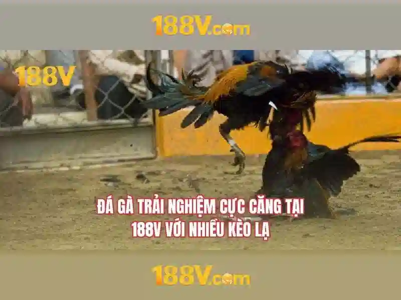 Ưu Đãi 188v