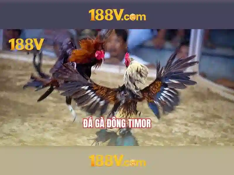 Lý Do Chọn Casino 188V