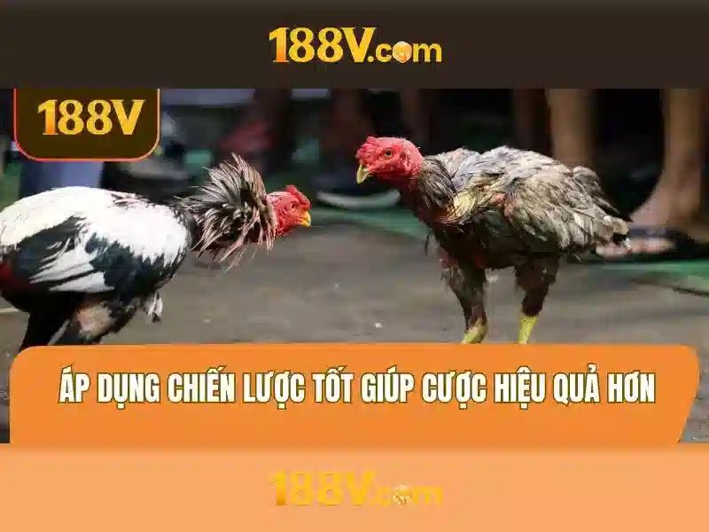Khuyến Mãi Slot 188v Ưu Đãi Hấp Dẫn