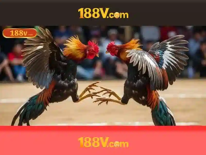Đẳng cấp nhà cái 188V