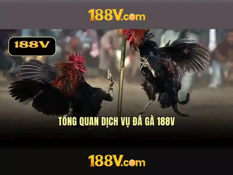 188v link vào trang chủ chính thức