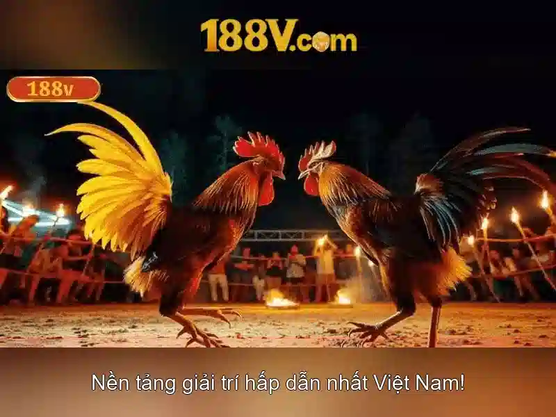 Quy Trình Nạp Rút 188V
