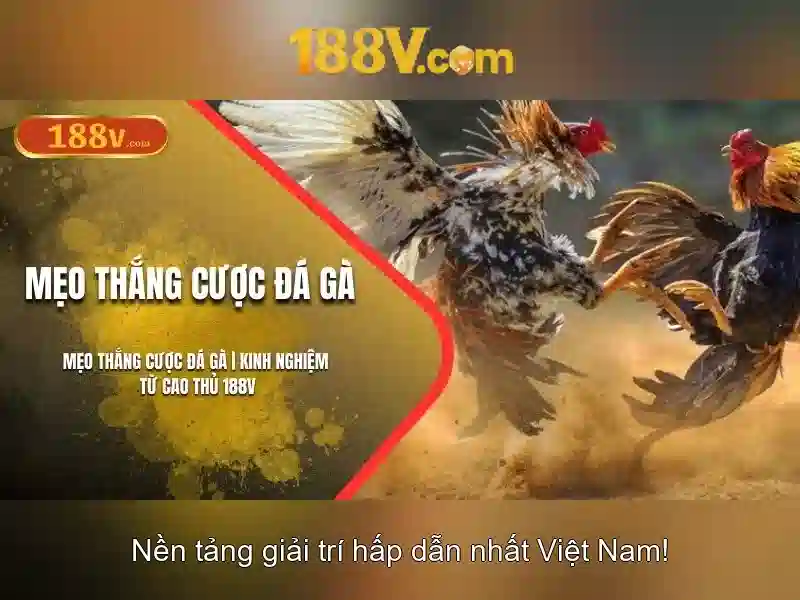 Ưu Đãi Đăng Ký 188V – Nhận Tiền Thưởng Ngay