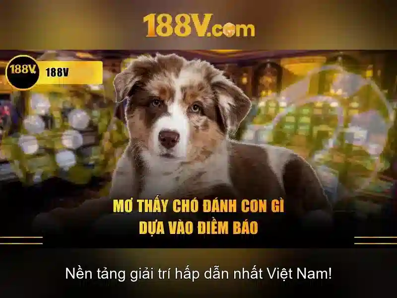 Trải nghiệm Slot đỉnh cao tại 188v
