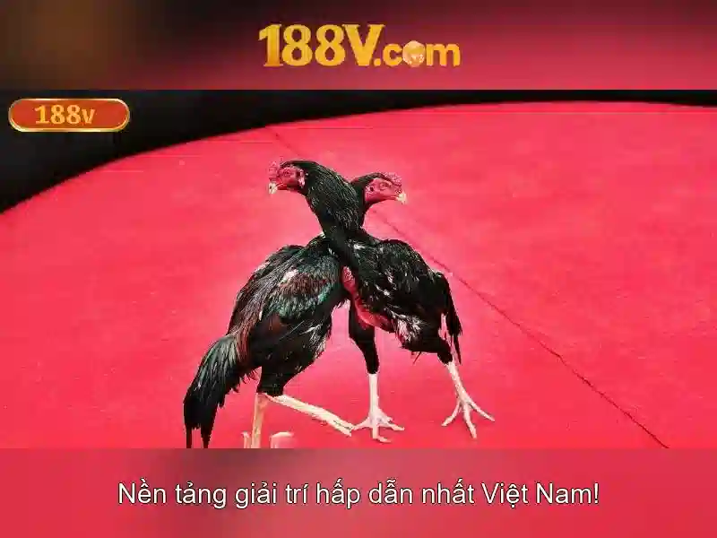 Quy trình rút tiền 188v an toàn