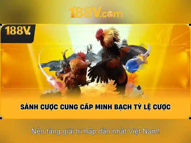 Ưu Điểm Nổi Bật Của 188V