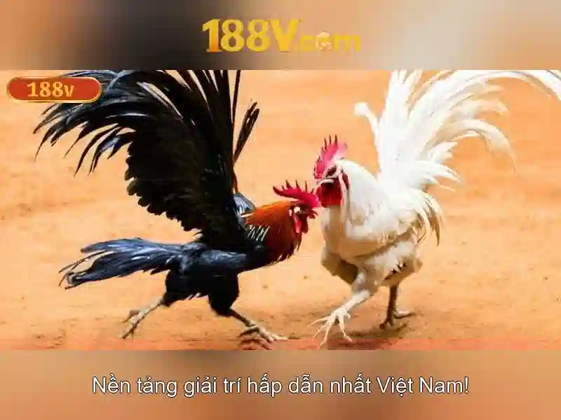 Hướng Dẫn Nạp Tiền 188V