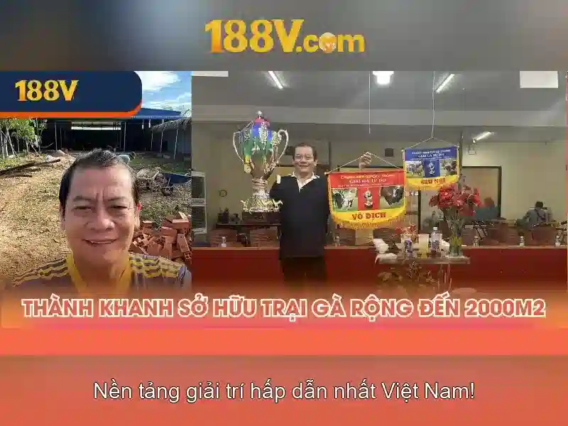 Ưu Điểm Nổi Bật