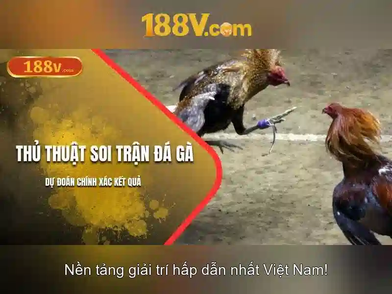 hướng dẫn rút tiền 188v