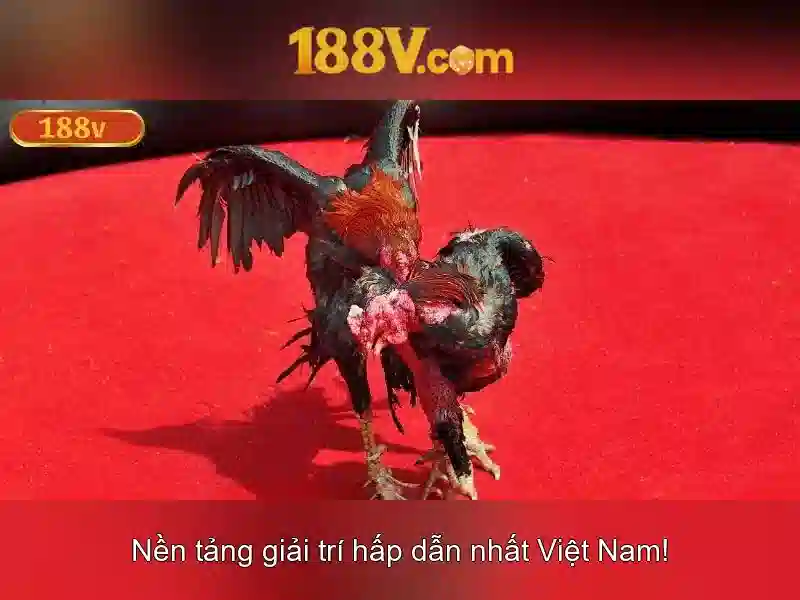 Trang Chủ 188V