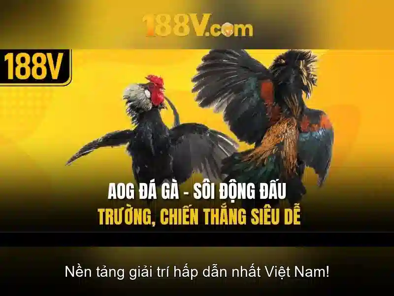 Phương Thức Liên Hệ