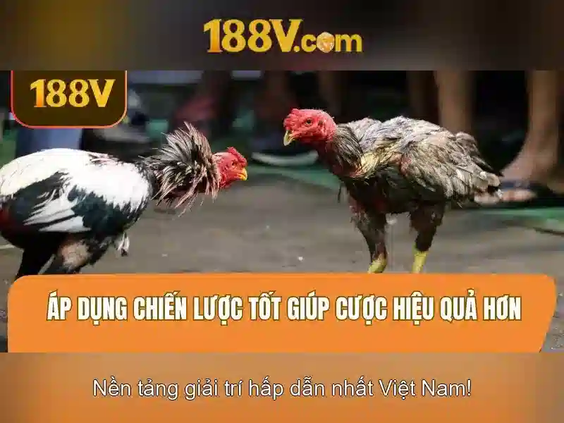 Tải 188V