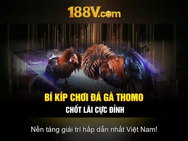 Khuyến Mãi 188V