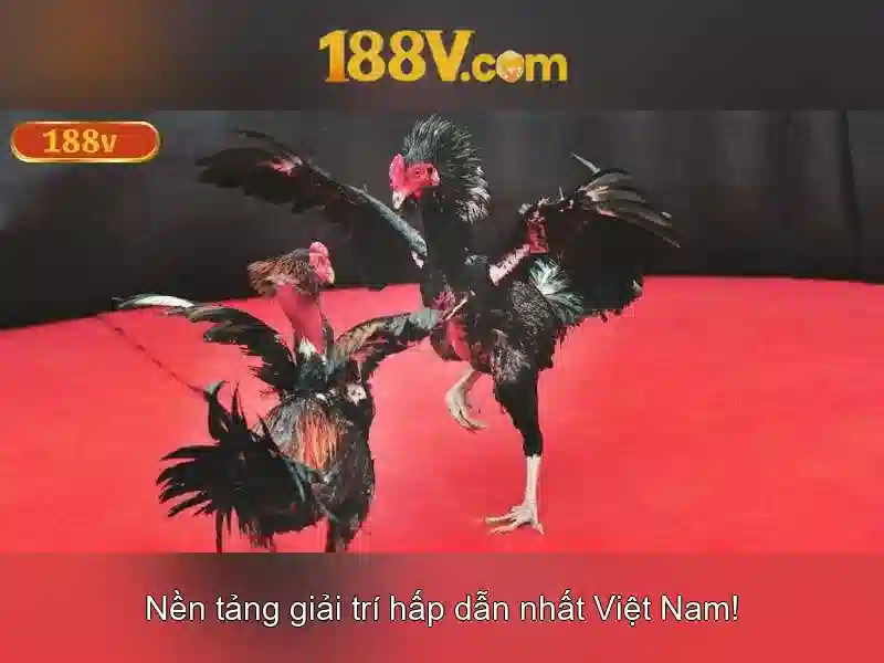 Tải 188V