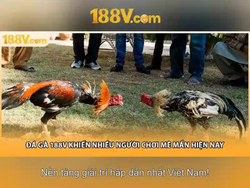 Cách Sử Dụng Code 188V Mới Nhất 2026