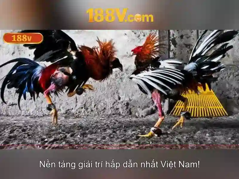 SLOT 188V đa dạng và phong phú