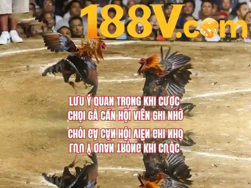 Game Bài 188v